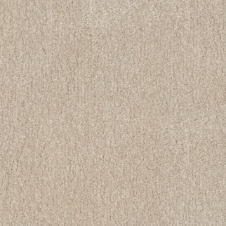 Shaw Floors Easy Spirit I 12 Bleached SHAW