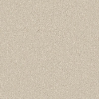 Shaw Floors Awaken Spirit I 12' Cream SHAW