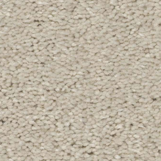 Shaw Floors Well Made Creamy SHAW