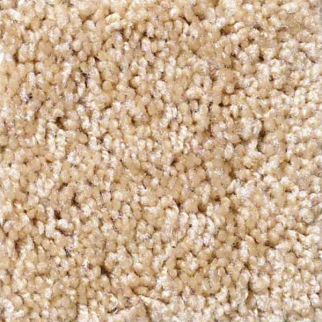 Shaw Floors Dreamin 12' Light Aspiratio SHAW