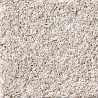 Shaw Floors Anso It Goes Parchment SHAW