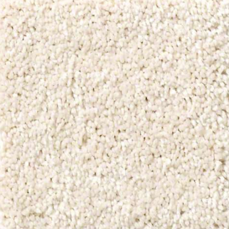 Shaw Floors Basic Rules Snowfall SHAW