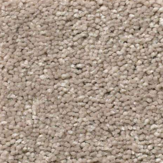 Shaw Floors Attainable Pebble Path SHAW