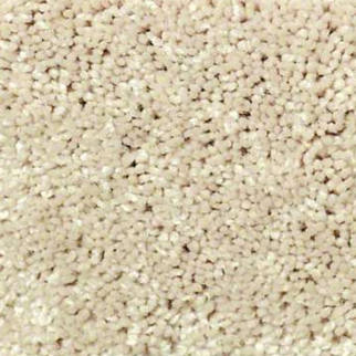 Shaw Floors Well Played I 15 Agate SHAW