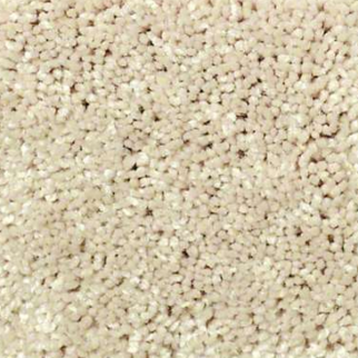 Shaw Floors Well Played II 15 Agate SHAW