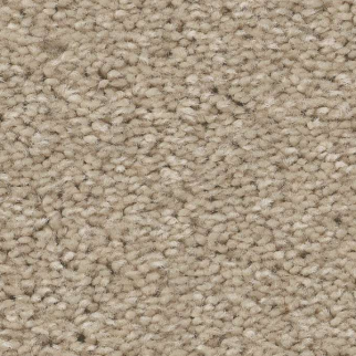 Shaw Floors Well Made Agate SHAW