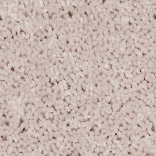 Shaw Floors Full Court 15 Angel Cloud SHAW