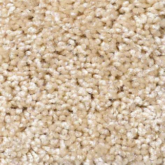 Shaw Floors One Over All Bisque SHAW