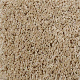 Shaw Floors Origins Dune SHAW