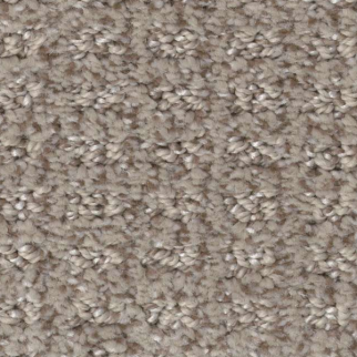 Shaw Floors Stay Fit Mesa SHAW