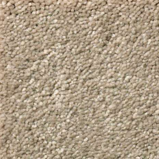 Shaw Floors Solidify III 12 Raw Lumber SHAW