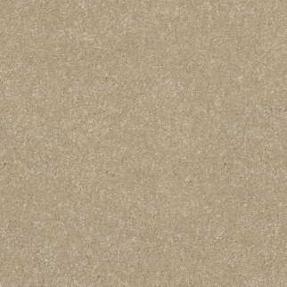 Shaw Floors Easy Spirit II 12 Raw Lumber SHAW