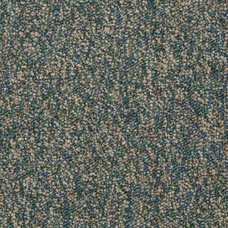 Philadelphia Commercial Franchise Summertime Shaw