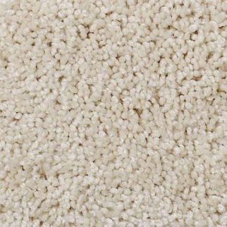 Shaw Floors Origins Canvas SHAW