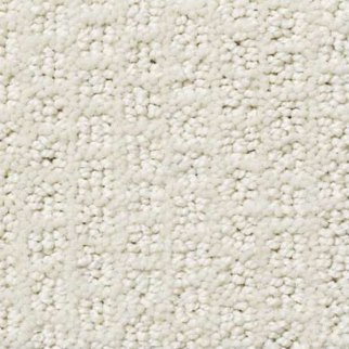 Shaw Floors Pacific Trails Canvas SHAW