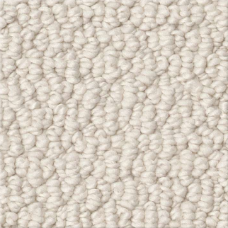 Shaw Floors Channeling Canvas SHAW