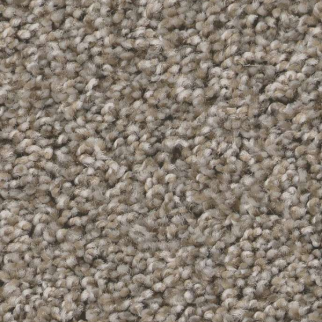 Shaw Floors Always Right II Cottage SHAW