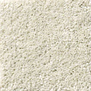 Shaw Floors Basic Rules Creamery SHAW