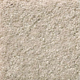 Shaw Floors Solidify III 12 Dreamy SHAW