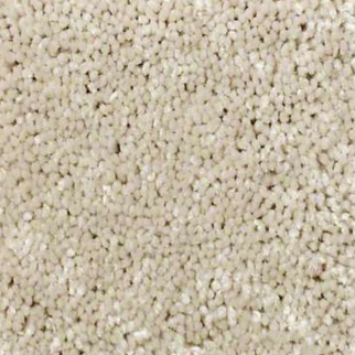 Shaw Floors Well Played I 15 Ecru SHAW