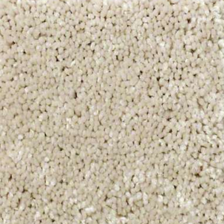 Shaw Floors Well Played II 15 Ecru SHAW