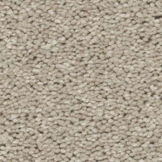 Shaw Floors Well Made Ecru SHAW