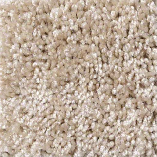 Shaw Floors Dreamin 12' Gallery SHAW