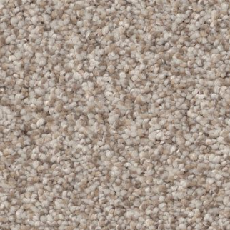 Shaw Floors Truspirit II Mist SHAW