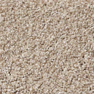 Shaw Floors Anso It Goes River Rock SHAW