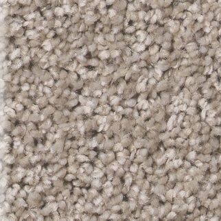 Shaw Floors Affirmation I Sculptor SHAW