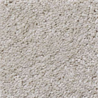 Shaw Floors That's Right Soft Chamois SHAW