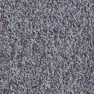 Philadelphia Commercial Franchise Plum Shaw