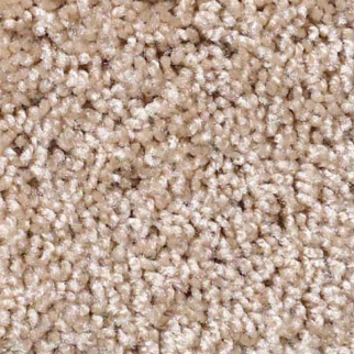 Shaw Floors One Over All Aura SHAW