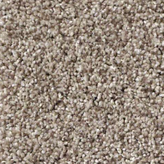 Shaw Floors Anso It Goes Barn Wood SHAW