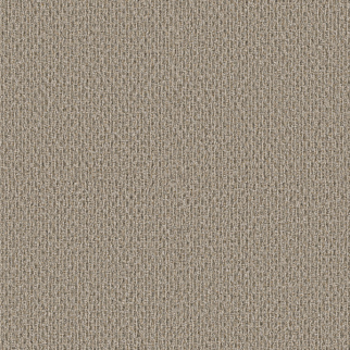 Shaw Floors StoneBrook Basketry SHAW