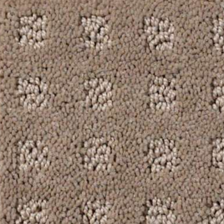 Shaw Floors Nottingham Chameleon SHAW