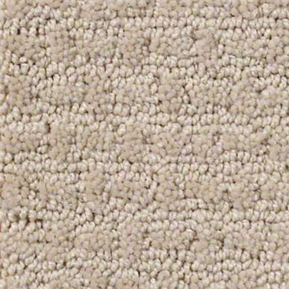 Shaw Floors Ray Of Light Frost SHAW