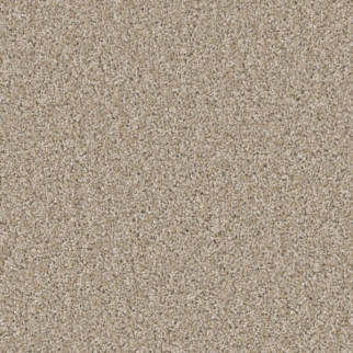 Shaw Floors Affirmation I Loft Light SHAW