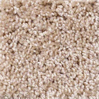 Shaw Floors Dreamin 12' Macaroon SHAW