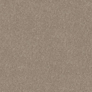 Shaw Floors Easy Spirit I 12 Natural Contour SHAW