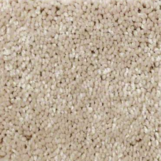 Shaw Floors Well Played II 15 Sandy Nook SHAW