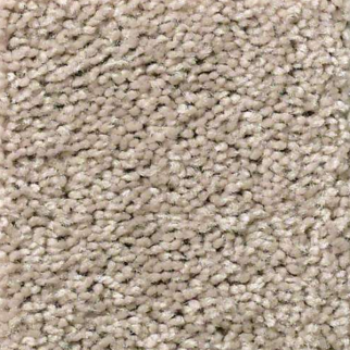 Shaw Floors Full Court 12 Bare Mineral SHAW