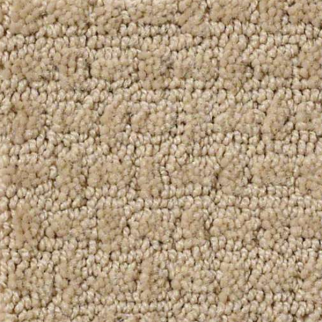 Shaw Floors Ray Of Light Field Stone SHAW