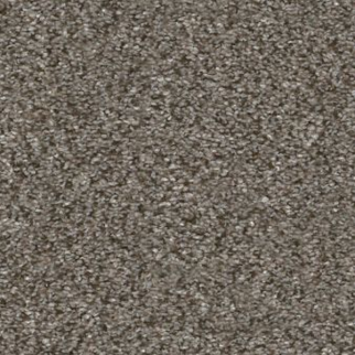 Shaw Floors Without Limits III Misty Mica SHAW