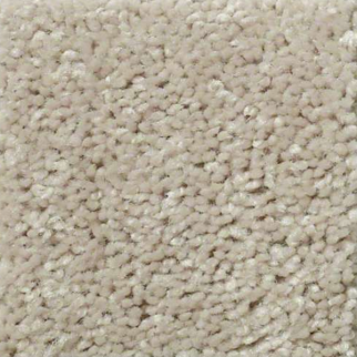 Shaw Floors Fielders Choice 12 Misty Taupe SHAW