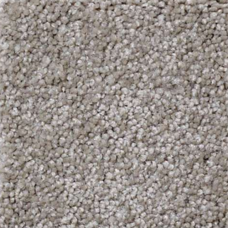 Shaw Floors That's Right Mocha Cream SHAW