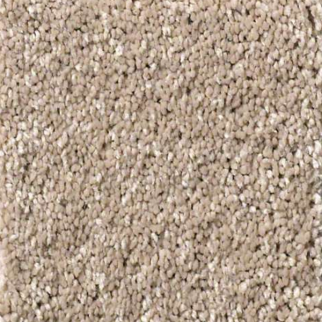 Shaw Floors Basic Rules Toast SHAW