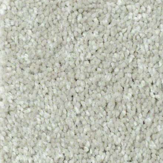 Shaw Floors Well Played I 15 WIld Rice SHAW