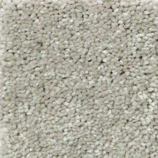 Shaw Floors Well Played II 15 Wild Rice SHAW