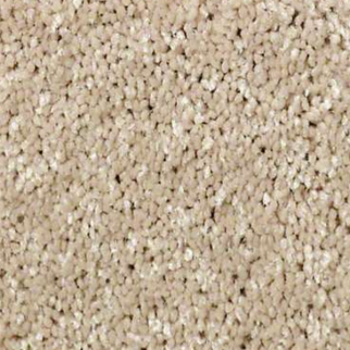 Shaw Floors Well Played I 15 Almond Bark SHAW